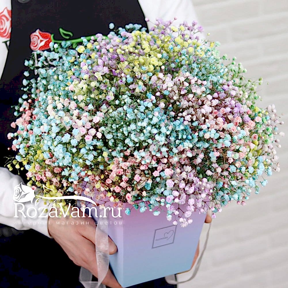 Коробочка из 15 радужных гипсофил
