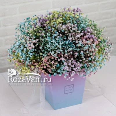 Коробочка из 15 радужных гипсофил